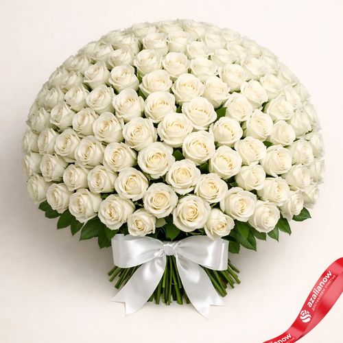 Фото 2: Букет из 201 белой розы с лентой