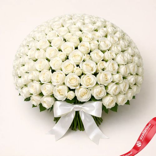 Фото 2: Букет из 301 белой розы с белой лентой