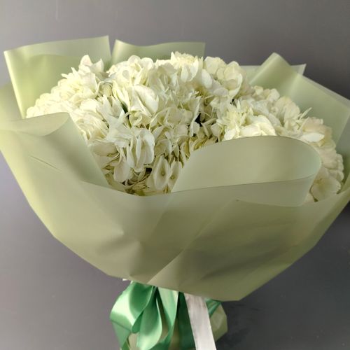 Фото флориста 1: Гортензии