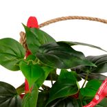 Маленькое фото 5: Корзина (дерево), 21х12х23см, красный