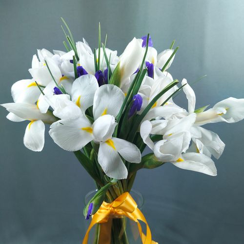 Фото флориста 4: Ирисы