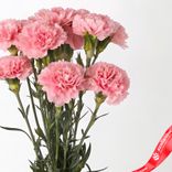 Маленькое фото 3: Букет из 9 розовых гвоздик с лентой. Сервис доставки цветов AzaliaNow