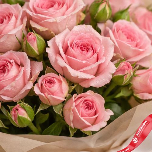 Фото 5: Букет из 51 кустовых розовых роз в бежевой пленке с лентой