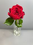 Фото флориста 5: Роза красная, Кения, 40см