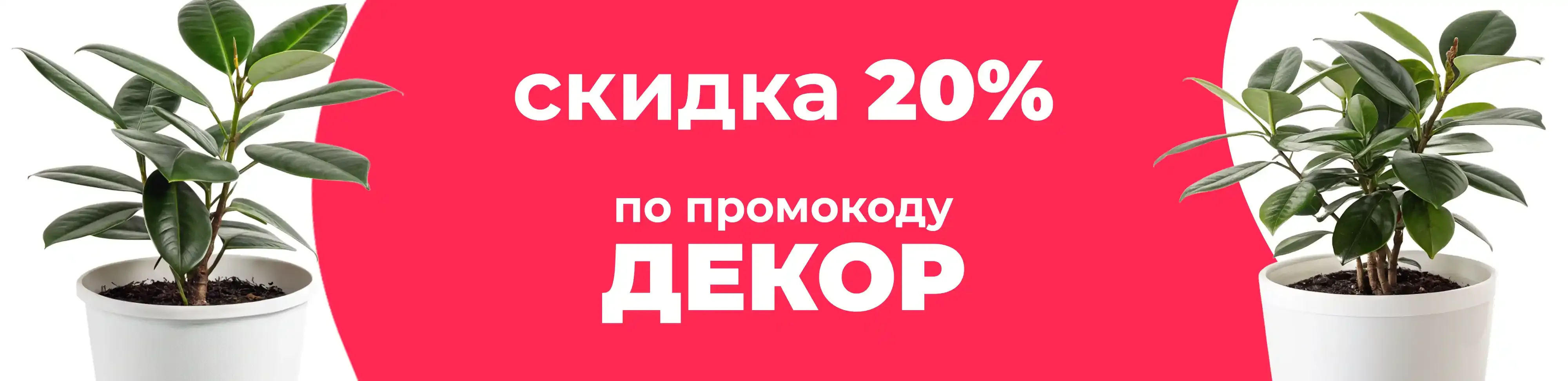 Баннер для рубрики: Горшки для фикуса
