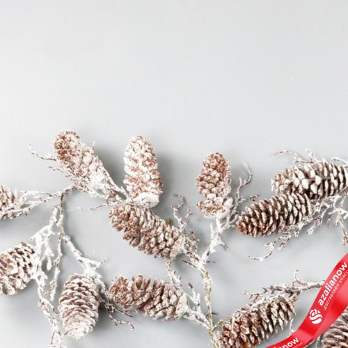 Фото 4: Гирлянда из шишек заснеженная, 105 см, коричневый