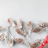 Маленькое фото 4: Гирлянда из шишек заснеженная, 105 см, коричневый