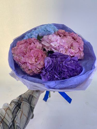 Фото флориста 3: Гортензии