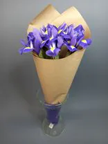 Фото флориста 1: Букет из 7 фиолетовых ирисов в крафте