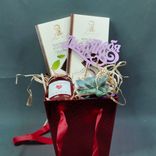 Фото флориста 1: Подарочный набор «Мамочке» с суккулентом Эхеверия Миранда, шоколадками и ароматом для дома