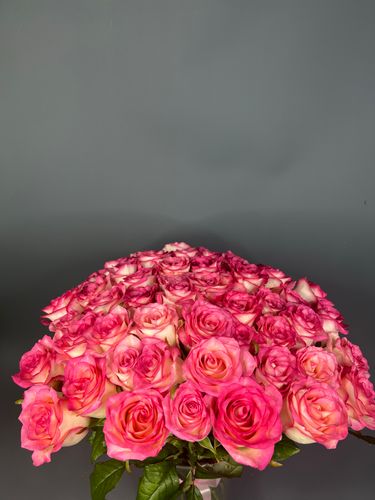 Фото флориста 2: 51 роза