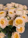 Фото флориста 6: Роза кустовая микс, Голландия