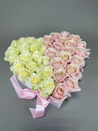 Показать все изображения