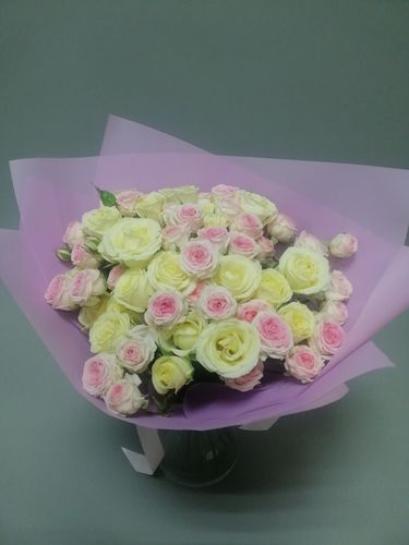 Показать все изображения