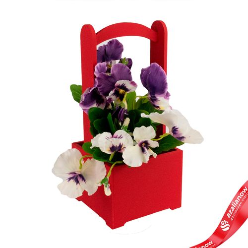 Фото 3: Корзина (дерево), 14х14х30см, красный