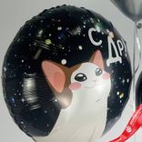 Маленькое фото 5: Композиция из 3 шаров с гелием «С ДР (котик)»
