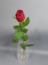 Фото флориста 5: Роза красная, Кения, 40см