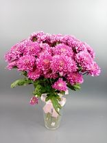 Фото флориста 1: Букет из 9 хризантем кустовых розовых с лентой , Голландия