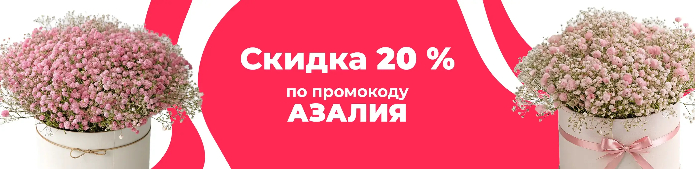 Баннер для рубрики: Розовые гипсофилы