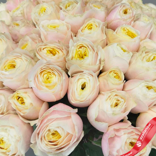 Фото 5: Букет из 101 нежно‑розовой пионовидной розы Эквадор, оформленный под ленту, 50 см