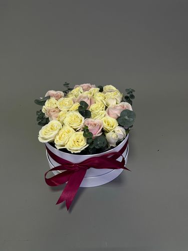 Показать все изображения