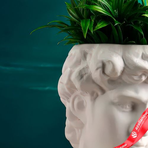 Фото 4: Горшок (Кашпо) — ваза «Голова Давида», белое, 22х16х14 см. Сервис доставки цветов AzaliaNow