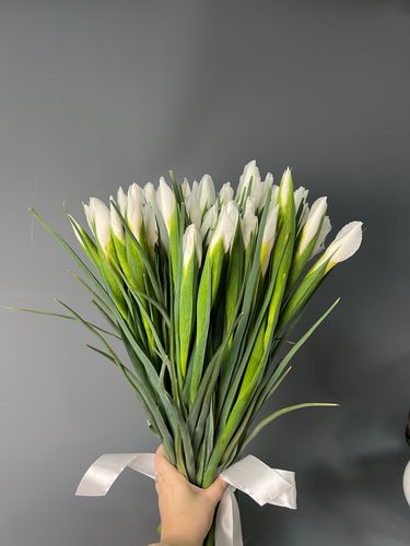 Фото флориста 1: Ирисы