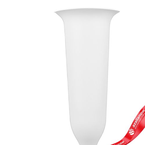 Фото 5: Ваза Ритуальная, D10xH25,5см, 0,65л, белый