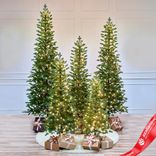 Маленькое фото 1: Ель искусственная с лампочками «Тикко» (PE), 2,55м, зеленый