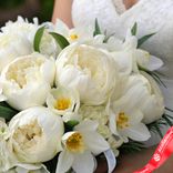 Маленькое фото 3: Букет невесты из 15 белых пионов и 10 белых нарциссов, с белой лентой. Сервис доставки цветов AzaliaNow