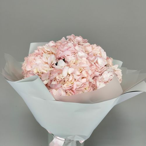 Показать все изображения