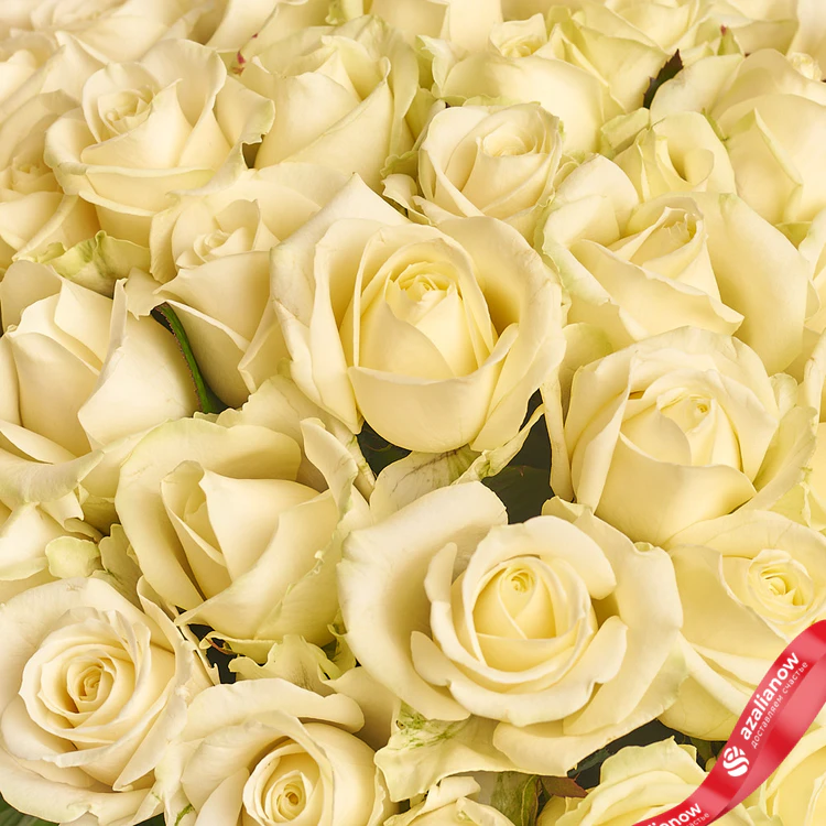 Фото 3: Акция! Букет из 51 белой розы в крафте. Сервис доставки цветов AzaliaNow