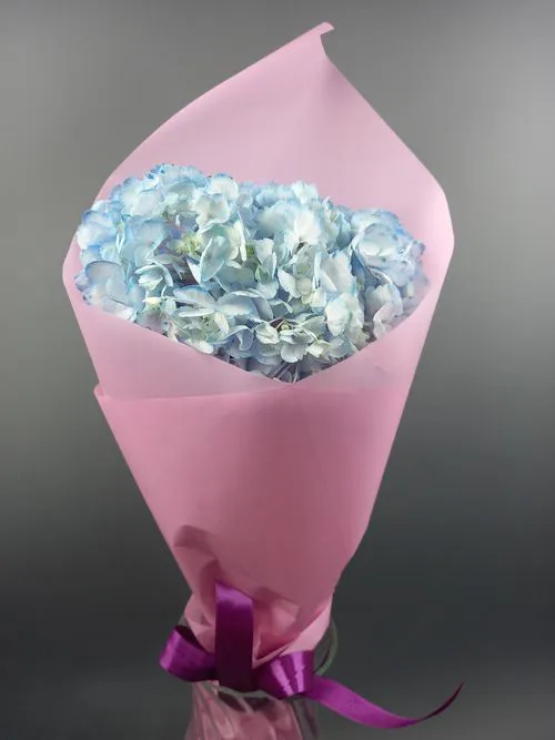 Показать все изображения