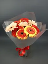 Фото флориста 1: Букет из 9 гербер в пленке