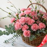 Маленькое фото 1: Букет из 25 розовых гвоздик в корзине с эвкалиптом. Сервис доставки цветов AzaliaNow