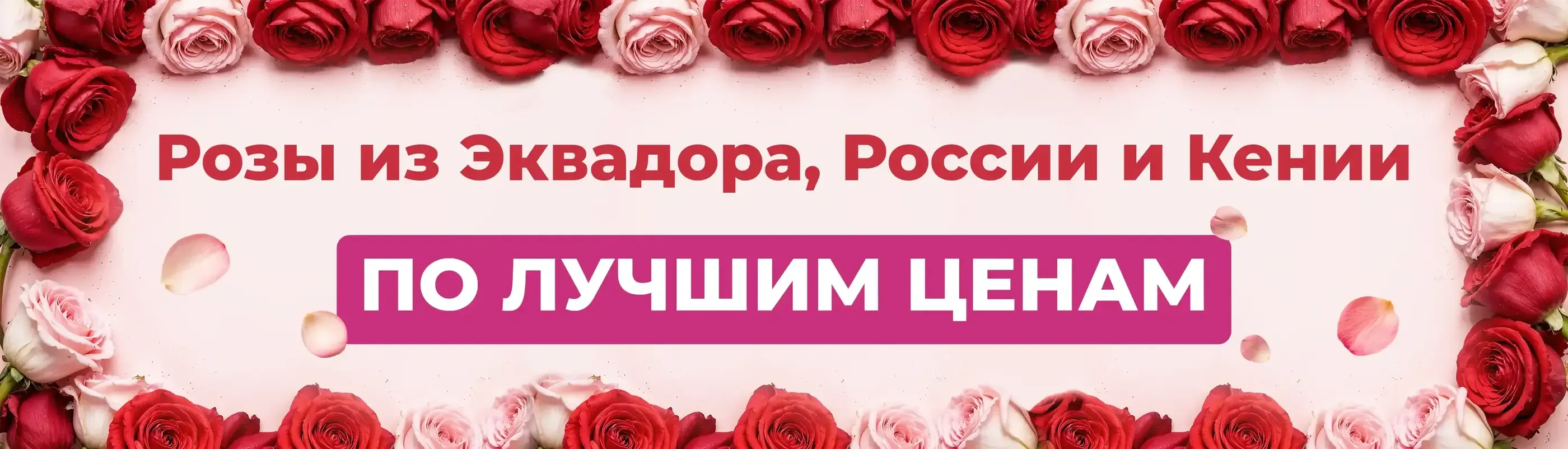 Розы со всего мира