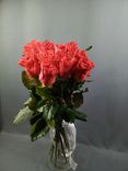 Фото флориста 3: 11 коралловых роз 60 см, Россия