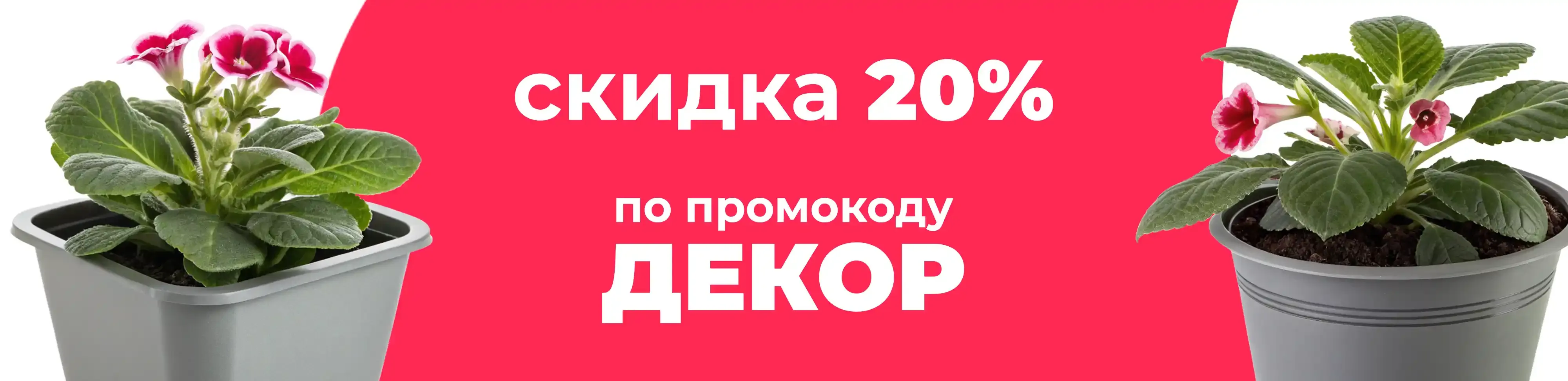 Баннер для рубрики: Кашпо для глоксинии