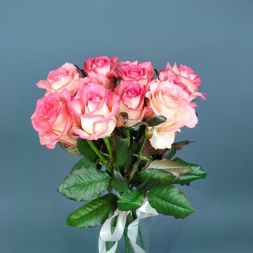 Показать все изображения