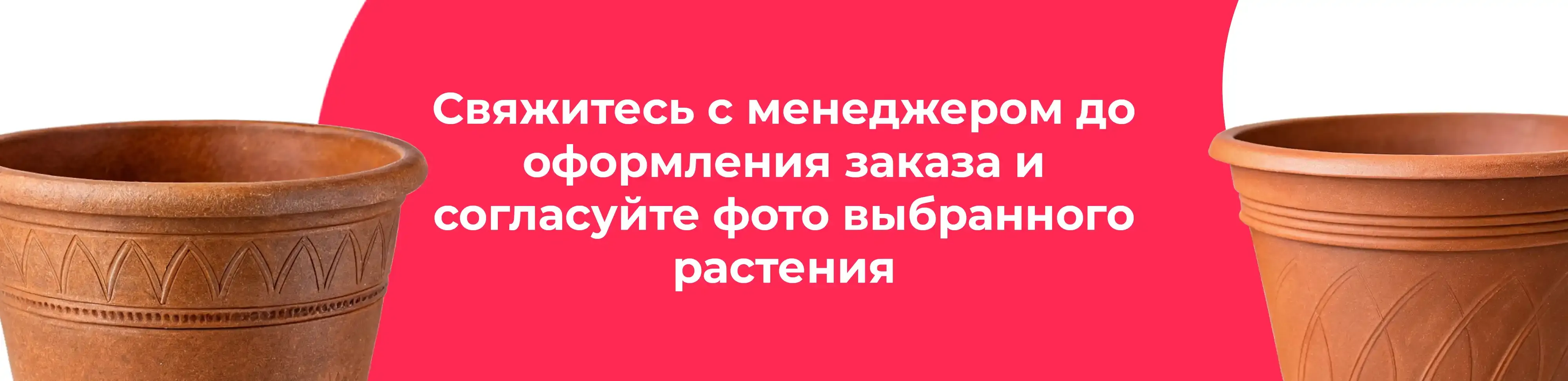 Баннер для рубрики: Коричневые горшки для цветов 
