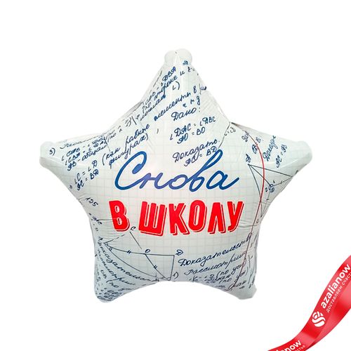 Шар с гелием «Звезда - Снова в Школу», 48 см