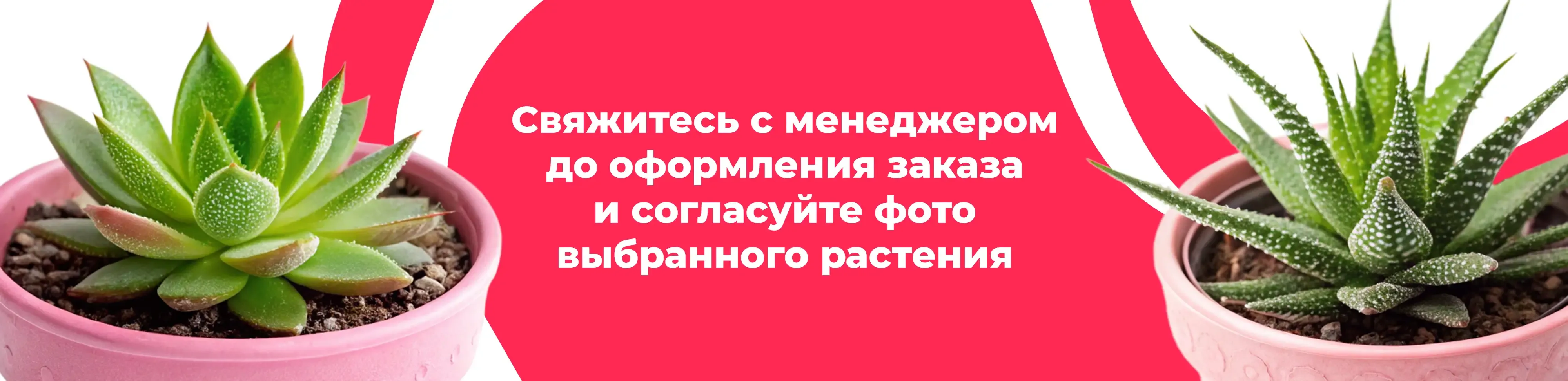 Баннер для рубрики: Растения Алексеевский 