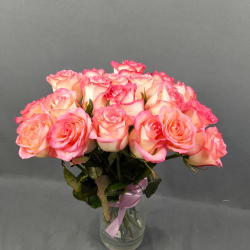 Показать все изображения