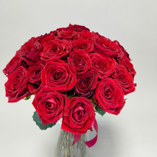 Показать все изображения