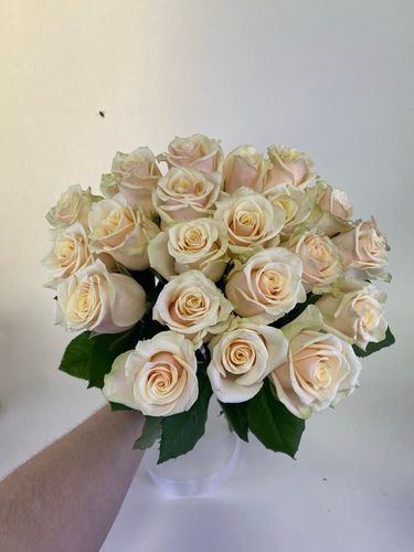 Показать все изображения