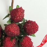 Маленькое фото 4: Набор малины на вставках 10шт., D2x2,5xL12см, малиновый