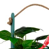 Маленькое фото 5: Корзина (дерево), 25х15х30см, изумрудный