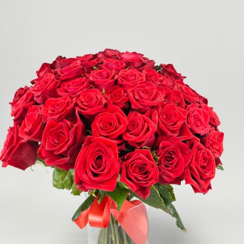 Показать все изображения