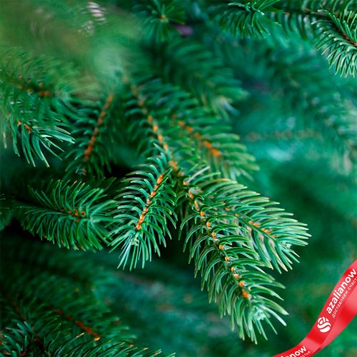 Фото 5: Ель искусственная «Суздальская» (PE), 2,7 м, зеленый