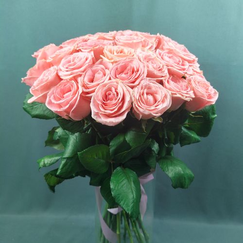 Показать все изображения